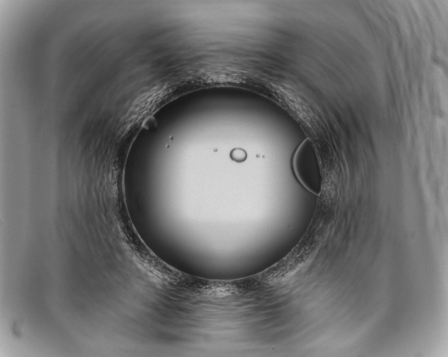 X0000098030402200804111327