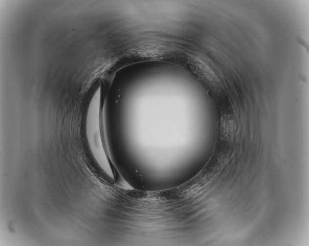 X0000098030404200804111327