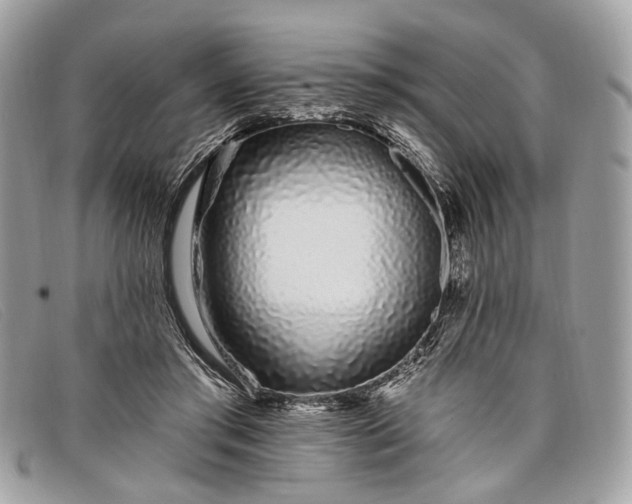 X0000098030405200804111327