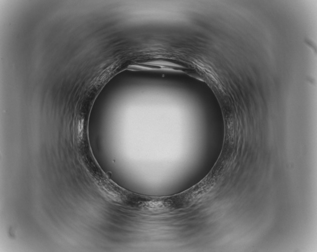 X0000098030406200804111327