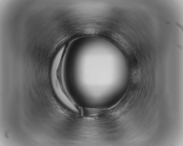 X0000098030407200804111327