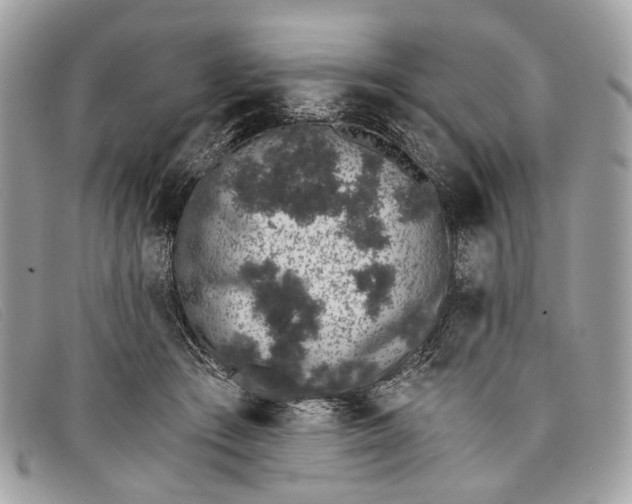 X0000098030409200804111327