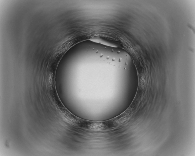 X0000098030410200804111327