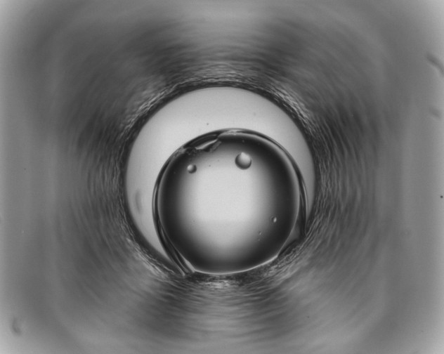 X0000098030411200804111327