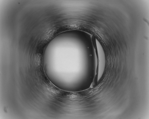 X0000098030412200804111327