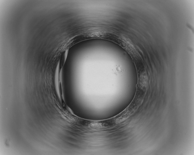 X0000098030413200804111327