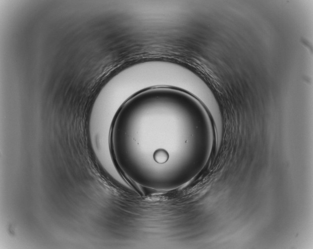 X0000098030415200804111327