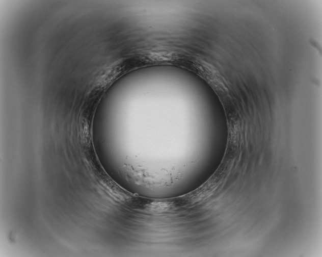 X0000098030418200804111327