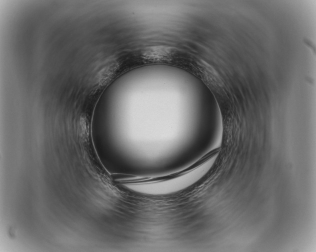 X0000098030420200804111327