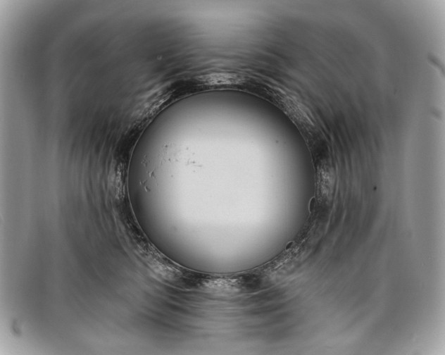 X0000098030422200804111326