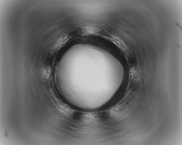 X0000098030423200804111326