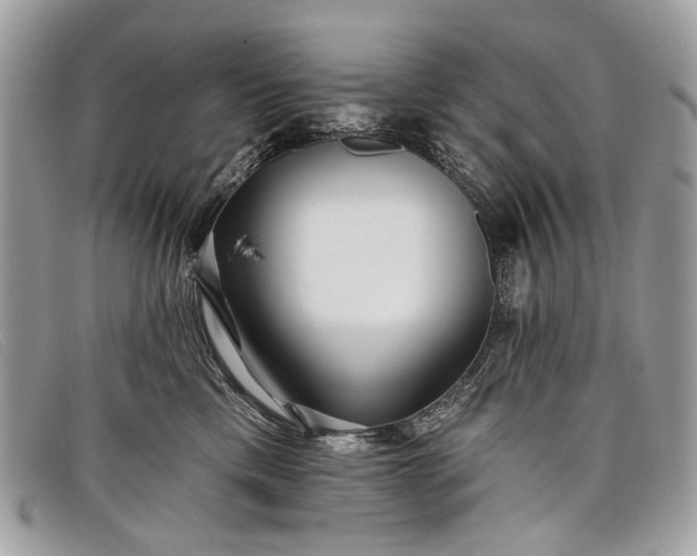 X0000098030425200804111326