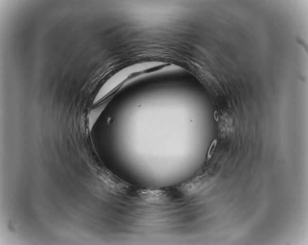 X0000098030428200804111326