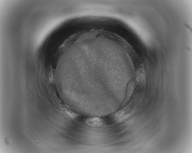 X0000098030431200804111326