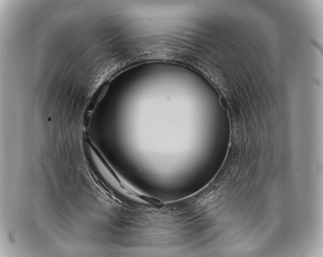 X0000098030434200804111325