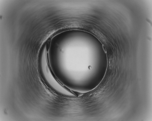 X0000098030436200804111325