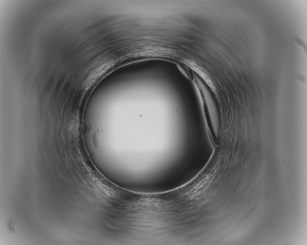 X0000098030437200804111325