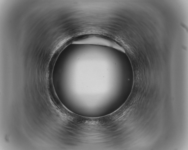 X0000098030440200804111325