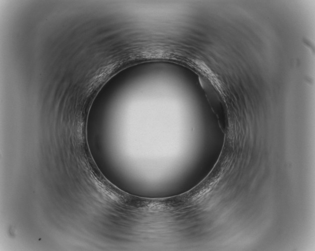 X0000098030441200804111325