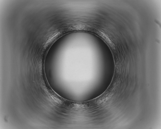 X0000098030442200804111325