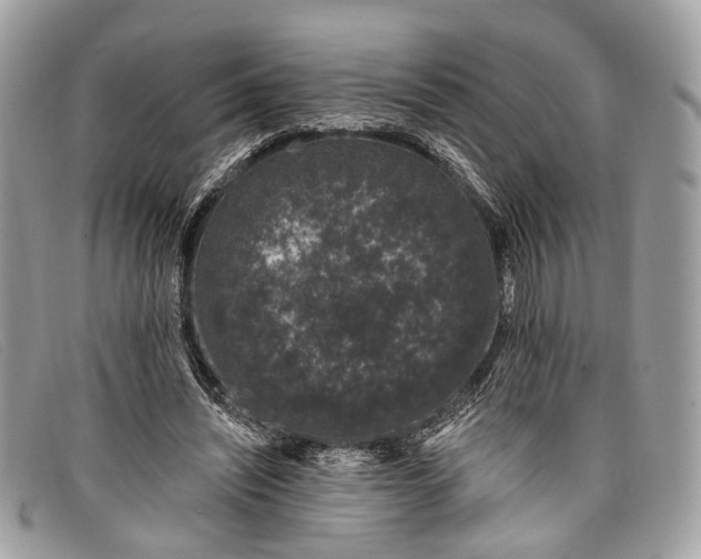 X0000098030444200804111326