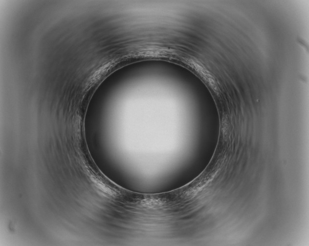 X0000098030445200804111326