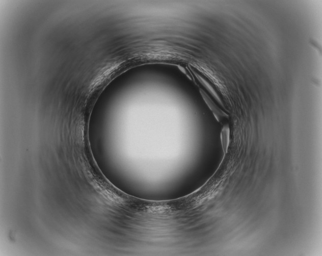 X0000098030446200804111326