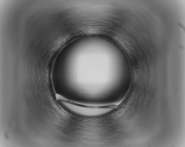 X0000098030447200804111326