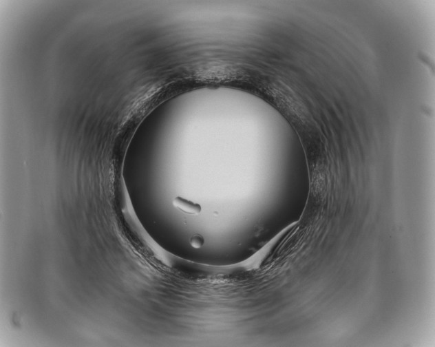 X0000098030448200804111326