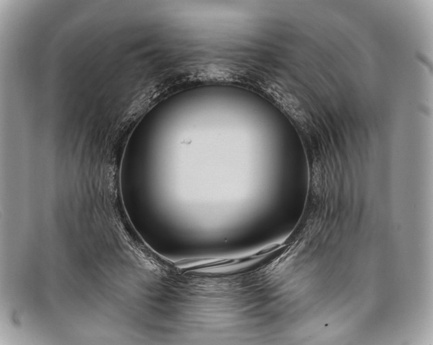 X0000098030449200804111326