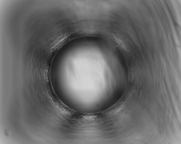 X0000098030450200804111326