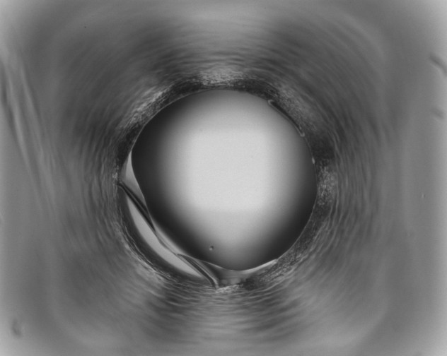 X0000098030452200804111326