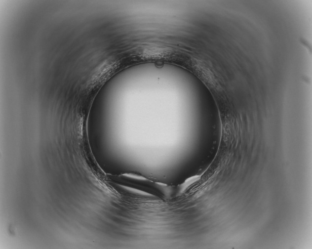 X0000098030454200804111326