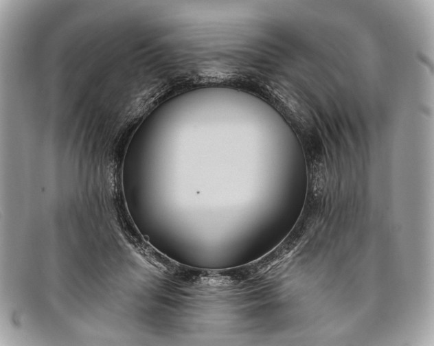 X0000098030455200804111326