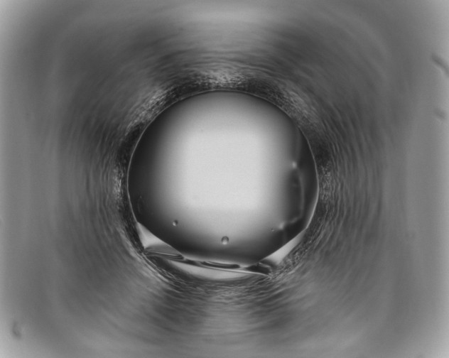 X0000098030456200804111326