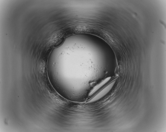 X0000098030458200804111326