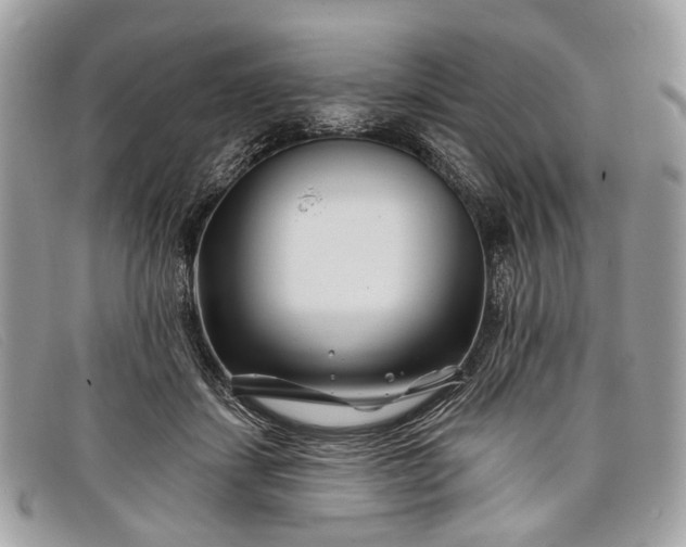 X0000098030459200804111326