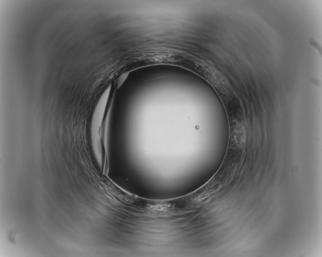 X0000098030461200804111326