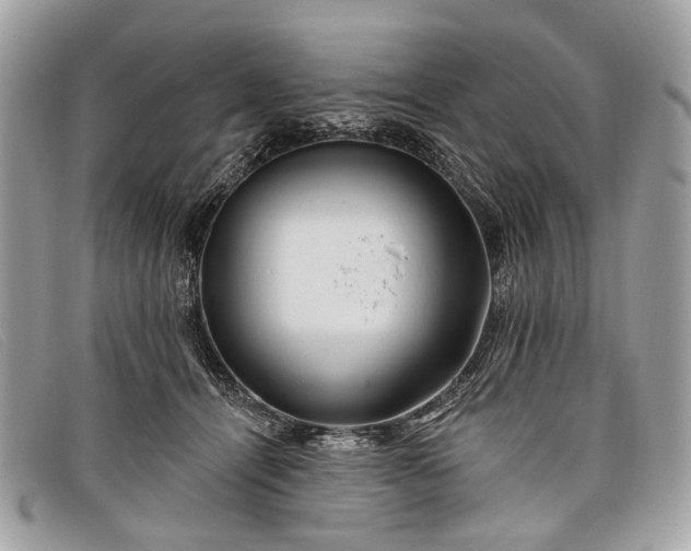 X0000098030464200804111326