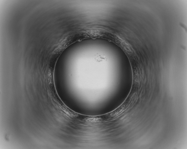 X0000098030465200804111326