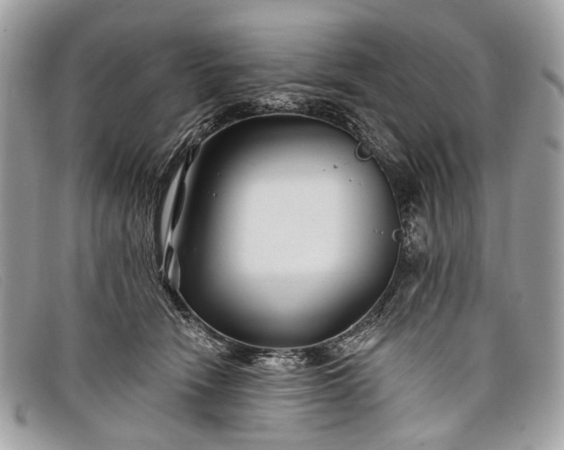 X0000098030466200804111326