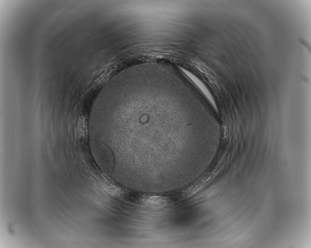 X0000098030467200804111326