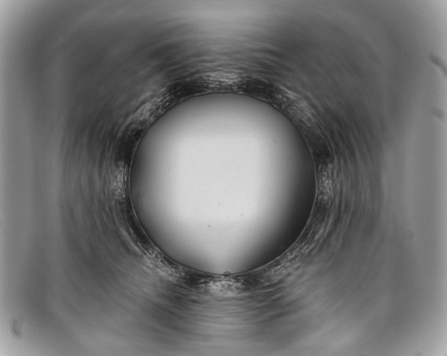 X0000098030468200804111326