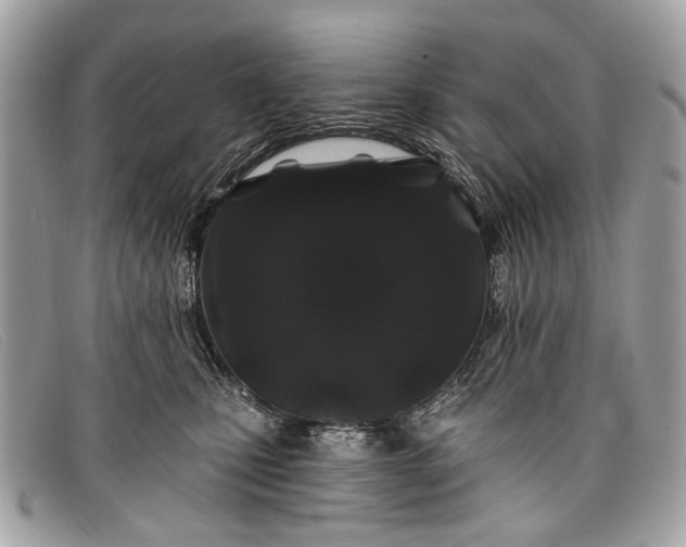 X0000098030471200804111326