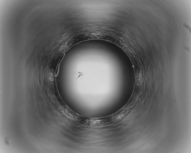 X0000098030472200804111326