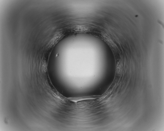 X0000098030474200804111326