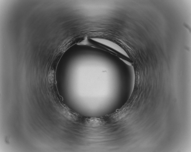 X0000098030475200804111326