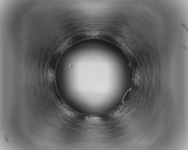 X0000098030476200804111326