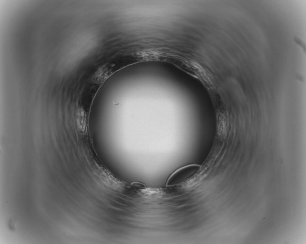 X0000098030477200804111326