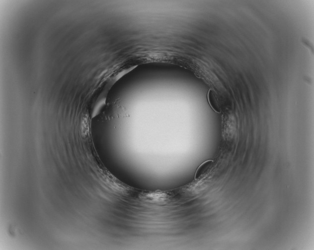 X0000098030478200804111326